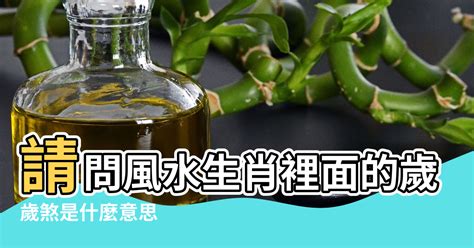 歲煞北意思